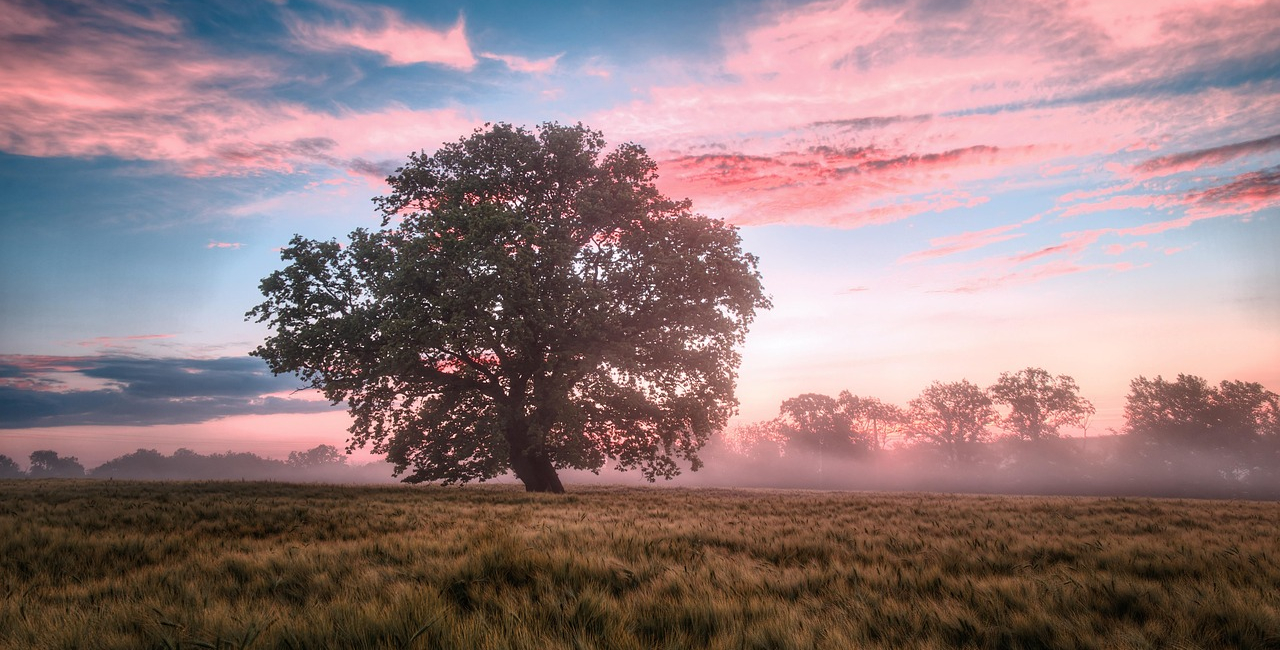 Fotocredit: www.unsplash.com